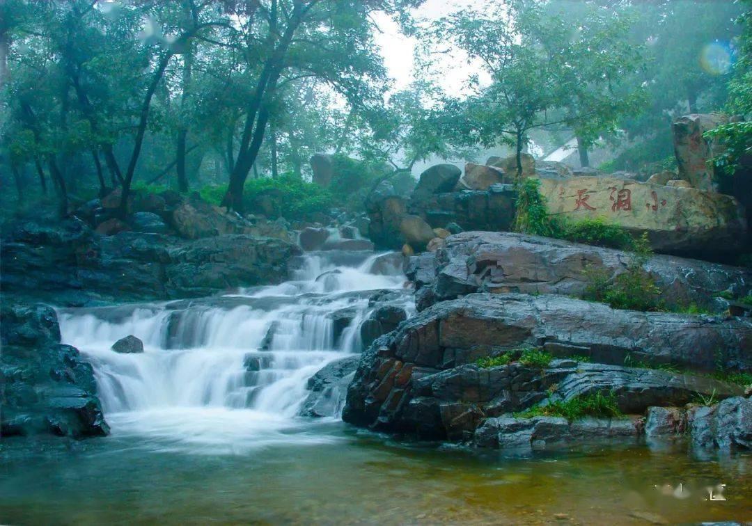 奔跑的兔子